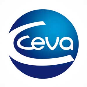 Ceva